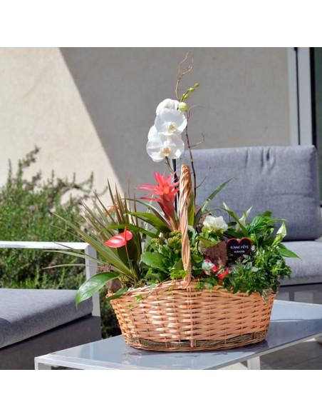 Une composition de plantes dans une corbeille en  osier