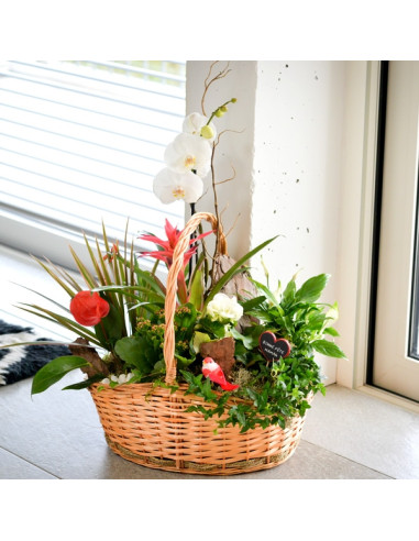 Une composition de plantes dans une corbeille en  osier