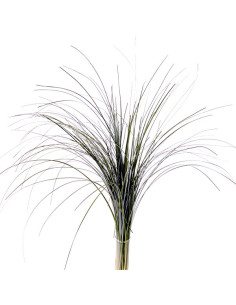 une botte de feuillage beargrass