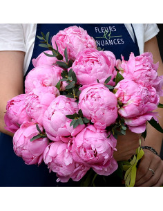 Magnifiques pivoines