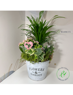 Une composition de plantes fleuries de saison