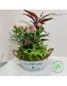 Une composition de plantes fleuries de saison 2