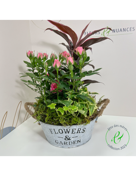 Une composition de plantes fleuries de saison