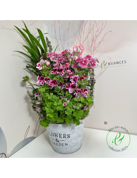 Une composition de plantes fleuries de saison