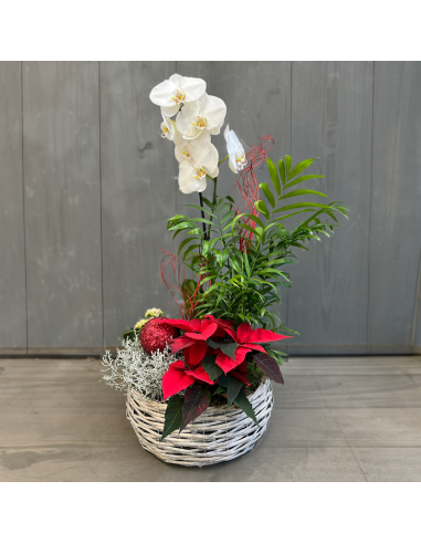 Coupe de plantes fleuries