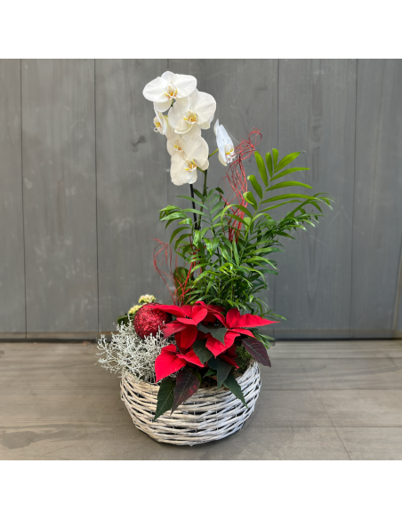 Coupe de plantes fleuries