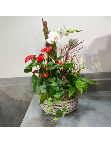 Coupe de plantes fleuries
