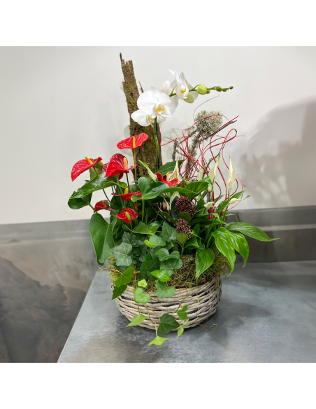 Coupe de plantes fleuries